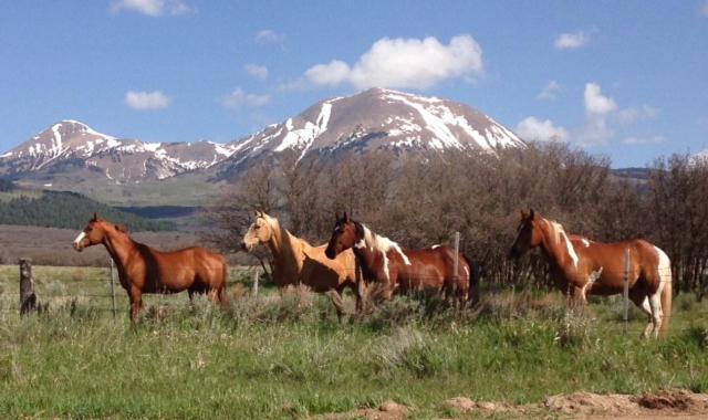 Mount Peale Country Inn La Sal Exteriér fotografie